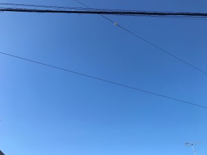 本日も、、　　｜　さがみ野　美容室　キートス（KiitoS）