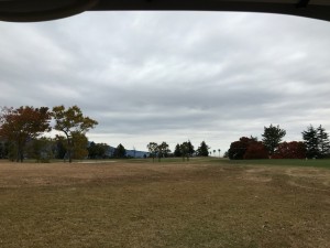IMG_2236